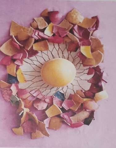 A Contextual Examination of Nura Garba’s Political Arena iii